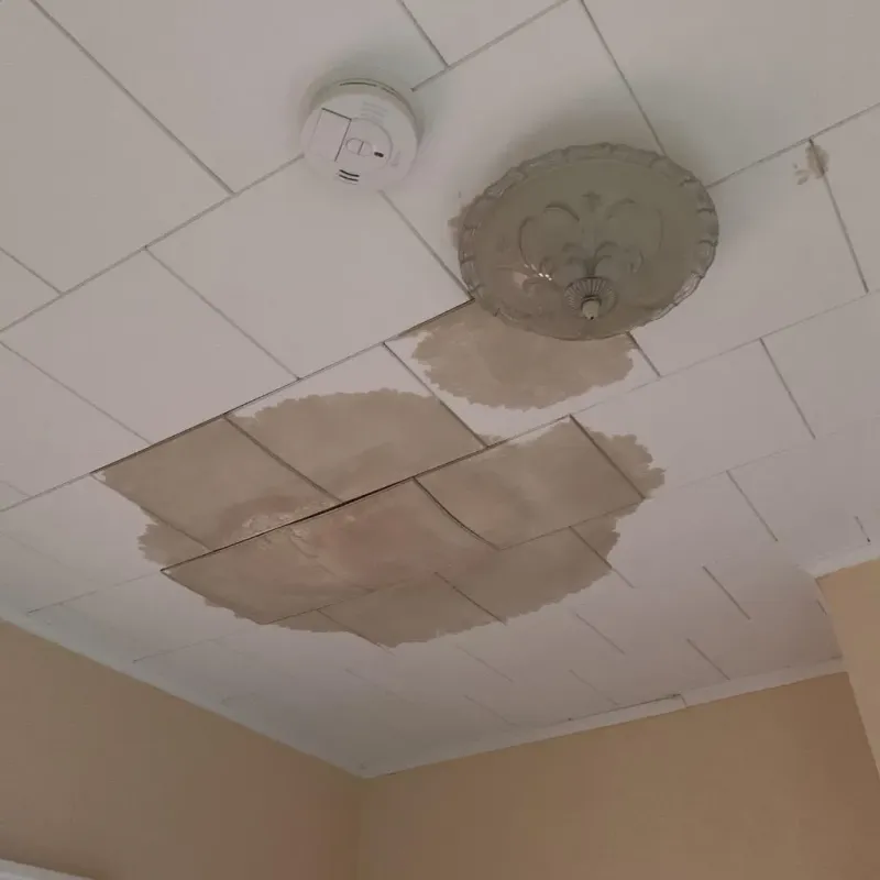 Ceiling Water Damage Repair in Toccoa, GA