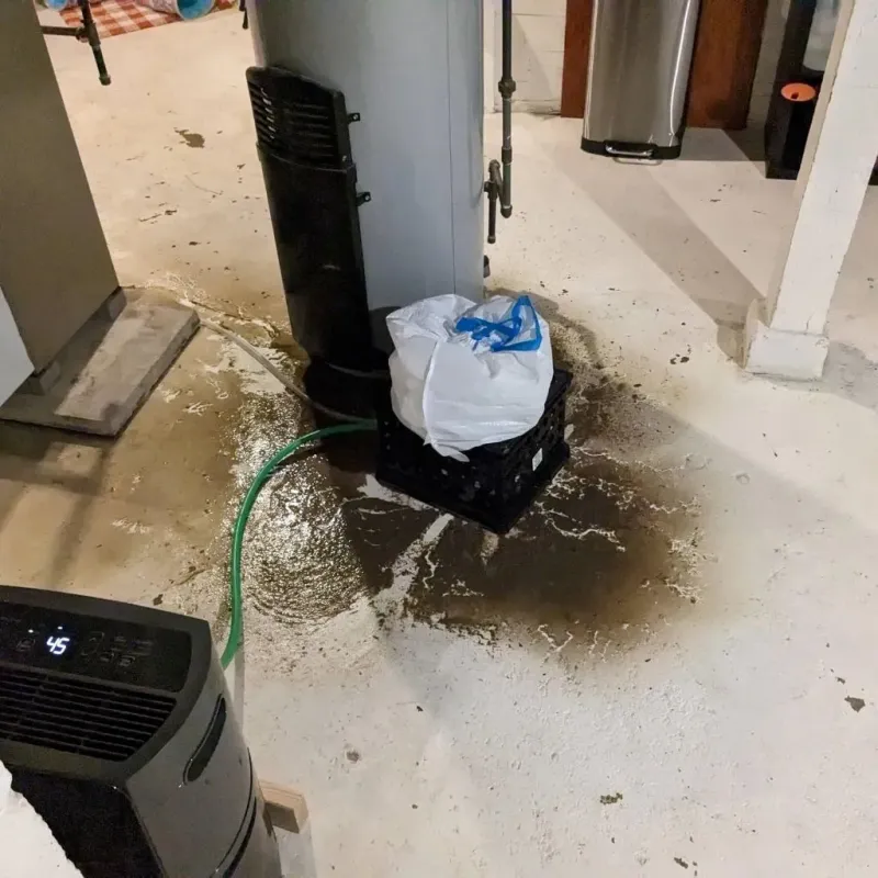 Sewage Backup Cleanup Service in Toccoa, GA